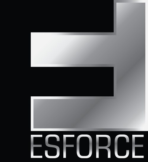 Файл:7293324 ESforce.jpg