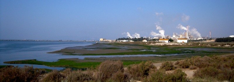 Файл:10979617 The Navigator Company.jpg