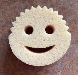 Scrub Daddy