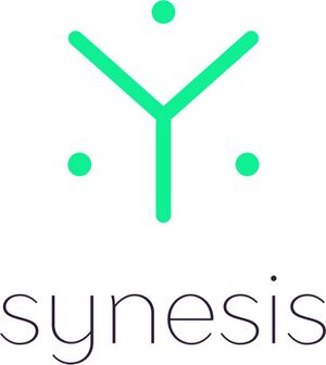 7813780 Synesis Group.jpg