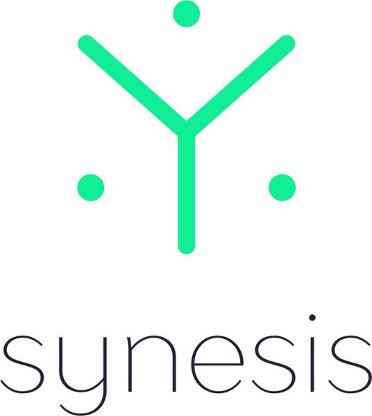 Файл:7813780 Synesis Group.jpg