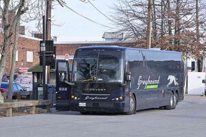 7801264 Greyhound Lines.jpg