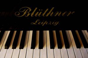 6249937 Blüthner.jpg