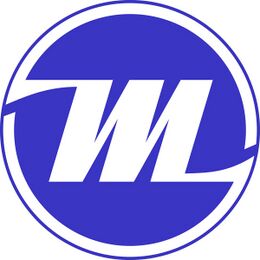 VEB Musima Markneukirchen; Musima GmbH