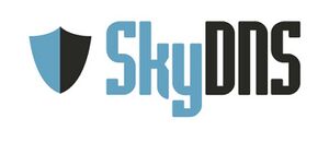 4751891 SkyDNS.jpg