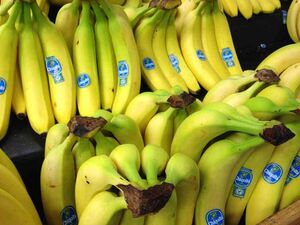 3584219 Chiquita Brands International.jpg