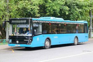 816326 Автолайн.jpg