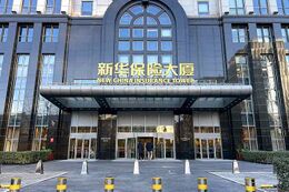 New China Life Insurance Company Ltd.