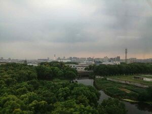 10017010 SAIC Volkswagen.jpg