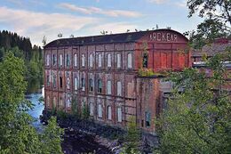 Открытое акционерное общество; «Северо-ладожский бумажный комбинат «Ляскеля»