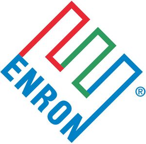 8512009 Дело Enron.jpg