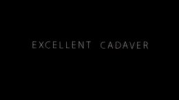 Excellent Cadaver