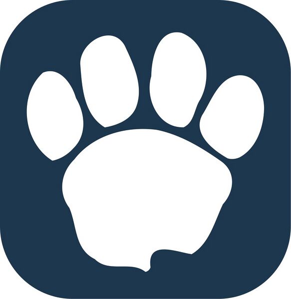 Файл:10205415 ЛАИОН.jpg