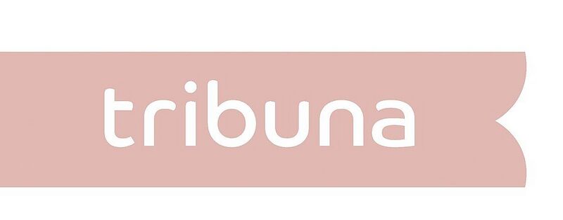 Файл:6098128 Трибуна (фабрика).jpg