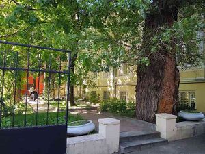 3773391 Роскино.jpg