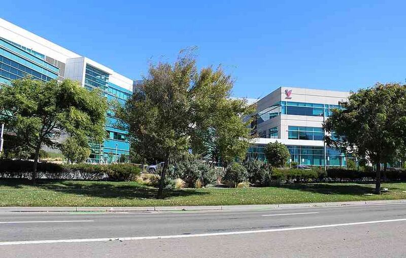 Файл:5667099 Verily.jpg