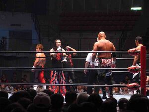 8923695 All Japan Pro Wrestling.jpg
