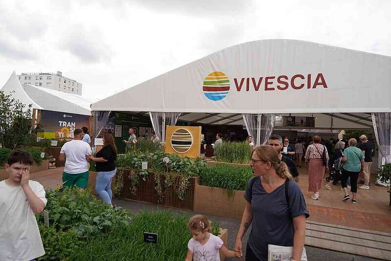 Файл:10936952 Vivescia.jpg