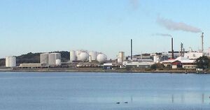 9843122 Borealis.jpg