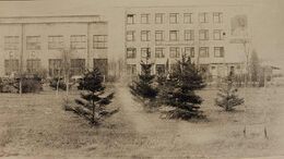 Брестская Фабрика сувениров