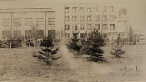 11121598 Брестская фабрика сувениров.jpg