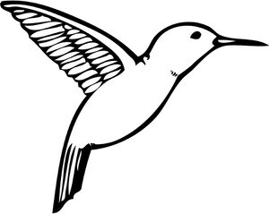 5717094 Kolibri Kapital.jpg