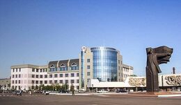 ПАО «Магнитогорский металлургический комбинат»