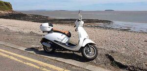 10335263 Zhongneng.jpg