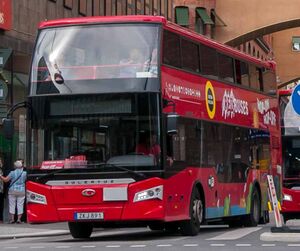 10775837 Güleryüz.jpg