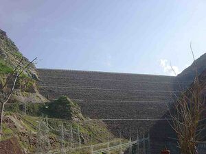 4364463 Барки Точик.jpg