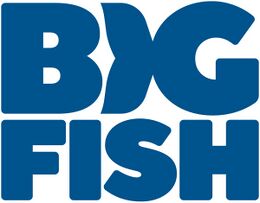 Big Fish Games, Inc.