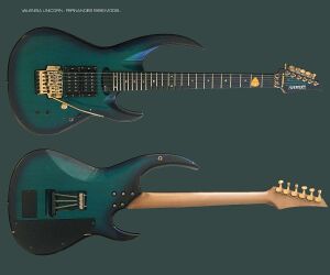 2293870 Fernandes.jpg