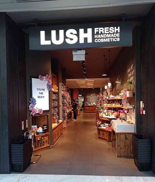 Файл:1267119 Lush Cosmetics.jpg