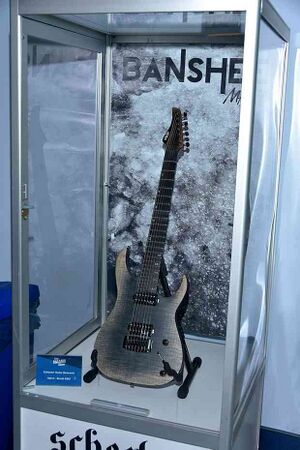 2202249 Schecter.jpg