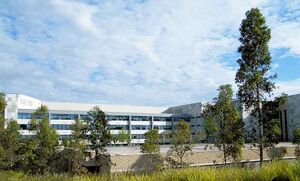 10310685 Woolworths Group.jpg