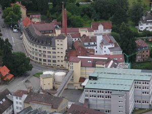 8255310 Triumph International.jpg