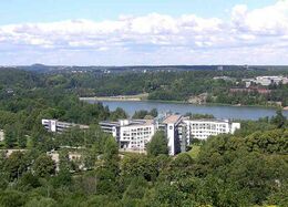 Snowflake (авиакомпания)