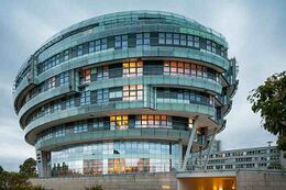 Международный институт неврологии