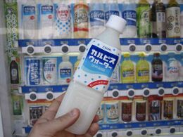 Calpis Co., Ltd.