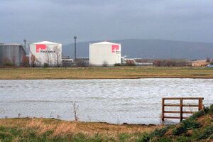 3697295 Petroplus.jpg