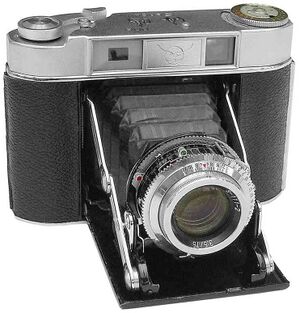 1842104 Seagull Camera.jpg