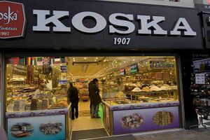 9167773 Koska.jpg