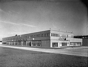 2515492 Spalding.jpg