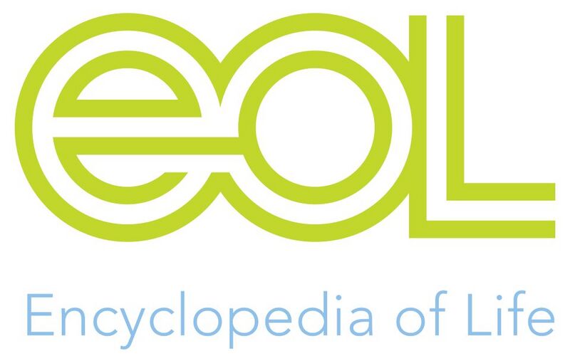 Файл:644144 Энциклопедия жизни.jpg