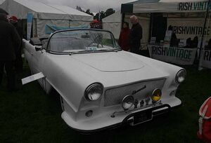 8135252 Shamrock.jpg