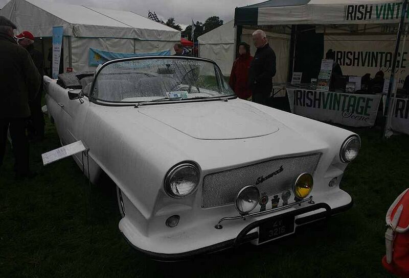 Файл:8135252 Shamrock.jpg