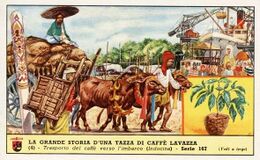 Luigi Lavazza S.p.A.