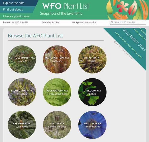 Файл:10042658 WFO Plant List.jpg
