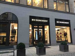 Burberry Group Plc Dante