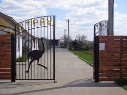 Страус — ЮГ